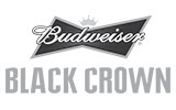 Budweiser Black Crown